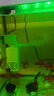 魚(yú)缸過(guò)濾器過(guò)濾循環(huán)水泵制氧一體機凈水五合一氧氣泵小型超靜音 15W(適合50cm以下魚(yú)缸)WP-1000F 曬單實(shí)拍圖