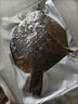 多寶魚(yú)新鮮鮮活冷凍大比目魚(yú)偏口魚(yú)八寶魚(yú)大菱鲆扁口魚(yú)生鮮魚(yú)類(lèi) 多寶魚(yú) 1200g -1400g【2條裝】 曬單實(shí)拍圖