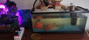 闊庭（KUOTING）魚(yú)缸水族箱生態(tài)桌面魚(yú)缸新款懶人魚(yú)缸過(guò)濾制氧一體機黑色【大號】 曬單實(shí)拍圖