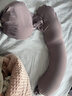BabyWatch孕婦枕護腰側睡枕托腹U形側臥抱枕睡覺(jué)用品女神枕PLUS-淺紫 曬單實(shí)拍圖