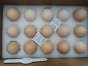 好念頭可生食雞蛋 30枚2.4斤無(wú)腥無(wú)沙門(mén)氏菌鮮蛋無(wú)抗生激素兒童源頭直發(fā) 曬單實(shí)拍圖