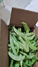 荷蘭豆新鮮蔬菜青豌豆甜脆豌豆苗四季豆扁豆當季時(shí)令新鮮蔬菜 云南新鮮荷蘭豆凈重3斤【農家自種】 曬單實(shí)拍圖
