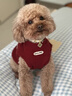 湯尼熊狗狗衣服秋冬無(wú)袖保暖毛衣雪納瑞泰迪比熊保暖背心小型犬貓衣服 保暖加厚毛衣【紅色-單耳小狗】 L丨背長(cháng)33胸圍48建議8-14斤 曬單實(shí)拍圖