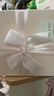 TaTanice禮盒空盒節日禮物生日禮物盒伴手禮包裝盒粉色蝴蝶結中號 曬單實(shí)拍圖