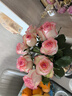 愛(ài)莎玫瑰10枝 曬單實(shí)拍圖