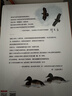 （加贈鳥(niǎo)類(lèi)貼紙）中國鳥(niǎo)類(lèi)觀(guān)察手冊鳥(niǎo)類(lèi)圖鑒百科全書(shū) 觀(guān)鳥(niǎo)手冊中國鳥(niǎo)類(lèi)大全 鳥(niǎo)類(lèi)行為動(dòng)物科普讀物 中國國家地理書(shū)籍 包含1491種鳥(niǎo) 曬單實(shí)拍圖