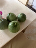 （霖錦）超便宜山東當季綠寶甜瓜單果250g+山東沈陽(yáng)倉隨機發(fā) 單粒（小果） 曬單實(shí)拍圖