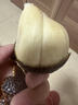 印尼進(jìn)口蛇皮果 新鮮進(jìn)口稀有罕見(jiàn)特大水果稀罕古怪熱帶水果 帶箱1斤 大果 曬單實(shí)拍圖