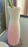 不東漸變粉頃枝 花瓶高級感輕奢插花水養水培容器大號醒花桶餐廳裝飾 曬單實(shí)拍圖