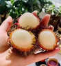 京喜加紅毛丹毛荔枝新鮮大果 采摘當季老樹(shù)毛丹果 新鮮孕婦熱帶水果 3斤裝 曬單實(shí)拍圖