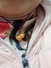 虔生緣老鳳祥搶24純黃金色葫蘆吊墜男女款鏤空福運葫蘆掛墜送禮物 7.88克搶完下架僅剩9件 曬單實(shí)拍圖