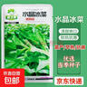 水晶冰菜種子陽(yáng)臺盆栽蔬菜種子大全四季冰草苗秧秋冬種植青菜種孑 水晶冰菜（3包約1500粒） 曬單實(shí)拍圖