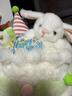 威爾通（WELTSTON）毛絨玩具玩偶小兔子抱枕布娃娃擺件生日禮物禮品女生蛋糕送女友 曬單實(shí)拍圖