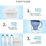【德國品質(zhì)】適配碧然德濾芯凈水壺過(guò)濾器濾水壺通用三代升級版標準版BRITA水壺通用濾芯 十二顆裝【三代升級版濾芯】 曬單實(shí)拍圖