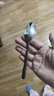 FLASH AE FLY F 22只裝304不銹鋼勺子家用成人兒童吃飯勺喝湯勺商用調羹尖頭勺 2只裝-韓版馬拉加勺(SUS304) 曬單實(shí)拍圖