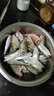 護(hù)王鯽魚漂夜光漂咬鉤變色電子漂日夜兩用高靈敏浮漂加粗陰天尾納米漂 GM-03 大鯽大鯉漂 吃鉛3.00克 7目燈珠全綠變色尾【兩支裝】 曬單實(shí)拍圖