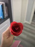 易澤家玫瑰花魔術(shù)道具火把變玫瑰表演火焰魔術(shù)求婚表白情人節520追女生 【免加油1支】免加油1次后續可加油用·每支約5次 曬單實(shí)拍圖