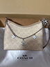 蔻馳（COACH）【禮物】奧萊女士女包經(jīng)典標志LAUREL 19號單肩包流浪包通勤 SV/沙黃色/灰褐色 曬單實(shí)拍圖