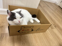 升級大號貓抓板貓窩貓咪紙箱屋貓盒瓦楞紙替芯四季通用不掉屑玩具 超高性?xún)r(jià)比耐抓耐磨【鞋盒貓窩】 曬單實(shí)拍圖