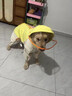 華元寵具（hoopet）大狗雨衣寵物狗狗四腳全包中大型犬邊牧沖鋒衣防水戶(hù)外衣服雨披 透明帽檐雨衣-黃色【護肚毛 防打濕】 5XL-背長(cháng)53cm（40-50斤） 曬單實(shí)拍圖