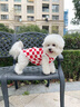 嬉皮狗（hipidog）小狗狗衣服棋盤(pán)格新年款加厚絨衣泰迪貴賓小型幼犬秋冬季寵物服裝 德羅紅醒獅 L （建議體重8-11斤） 曬單實(shí)拍圖