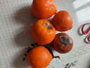 京典光年四川大涼山愛(ài)媛38號果凍橙 新鮮橙子水果柑橘現摘 精品大果凈果4.5斤（70-75mm） 曬單實(shí)拍圖