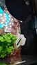 工具魚(yú)活體小型冷水清潔理魚(yú)缸吃便垃圾金苔鼠除藻熱帶觀(guān)賞老鼠魚(yú) 三種鼠魚(yú)/每種2條(再送2條防損) 曬單實(shí)拍圖