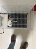 喵先生兔子籠大號家用養殖籠加粗加密可折疊兔籠子帶腳墊喝水器兔子窩 500白色可折疊單層加密兔籠 曬單實(shí)拍圖