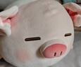 名創(chuàng  )優(yōu)品（MINISO）小豬B-BO彈力超柔趴姿毛絨公仔玩具玩偶抱靠枕娃娃送禮生日禮物女 曬單實(shí)拍圖