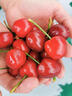 仙獻鮮山東煙臺美早大櫻桃車(chē)厘子【多地次日達】產(chǎn)地現摘直發(fā)整箱水果 1.8斤(凈重) 4J果王【32MM以上】至尊果王 曬單實(shí)拍圖