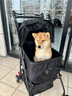 【京東物流】寵物推車(chē)狗狗代步貓咪手推車(chē)外出中小型犬拉車(chē)貓包 P5A黑色（車(chē)包分離）+餐盤(pán)+布兜 曬單實(shí)拍圖