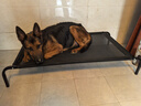 寵六一 冬季狗窩 離地狗床 寵物狗窩 行軍床 舒適防潮透氣 可拆洗 懸空 大號 網(wǎng)面107*73cm 曬單實(shí)拍圖