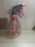 噴壺澆花澆水噴霧器氣壓式噴水壺家用園藝養花500ml 南瓜噴壺透粉+透藍 曬單實(shí)拍圖