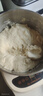揚子和面機廚師機面條機2026最新款全自動(dòng)多功能電動(dòng)家用料理機攪面機揉面醒面發(fā)面一體機發(fā)酵大容量 直播同款【5升容量+和面+醒面+發(fā)酵】 贈【以換代修+量杯+食譜+使用視頻】 曬單實(shí)拍圖