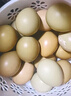 山雞蛋正宗七彩野山雞蛋新鮮五谷喂養山雞蛋農家營(yíng)養美味 七彩野山雞蛋60枚 曬單實(shí)拍圖