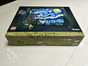 樂(lè )高（LEGO）積木21333梵高星月夜18歲+玩具 IDEAS系列星空生日禮物家居裝飾 曬單實(shí)拍圖