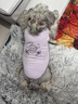 湯尼熊 TAWNEYBEAR狗狗衣服春夏背心雪納瑞泰迪比熊馬爾濟斯博美約克夏柴犬貓咪可愛(ài) 兩面穿花邊背心【香芋紫】 L丨背長(cháng)33胸圍48建議8-14斤 曬單實(shí)拍圖