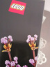 樂(lè )高（LEGO）10280 花束 百變高手系列創(chuàng  )意成人粉絲收藏款積木玩具生日禮物 曬單實(shí)拍圖