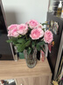 【仙氣滿(mǎn)滿(mǎn)】洛神玫瑰10枝 曬單實(shí)拍圖