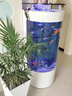 新款半圓客廳家用高清玻璃一體中小型魚(yú)缸靠墻免換水生態(tài)水族箱 定制尺寸請聯(lián)系客服 40*50*138長(cháng)寬高 曬單實(shí)拍圖