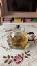 青蘋(píng)果玻璃家用泡茶壺煮茶2026新款加厚耐高溫燒水壺泡花茶專(zhuān)用茶水分離 春韻綠把泡茶壺800ML 曬單實(shí)拍圖