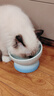 樂(lè )優(yōu)派貓碗陶瓷狗碗貓食盆狗盆寵物碗貓糧碗高腳防打翻貓咪用品 漸變藍 曬單實(shí)拍圖