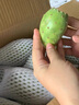 顏曼箐仙人掌果實(shí)新鮮水果現(xiàn)應(yīng)季仙桃大涼山瀘定梨果 5斤 甄選大果 2-3兩/個(gè) 曬單實(shí)拍圖