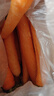 【山東蔬菜】新鮮胡蘿卜冰糖心水果蘿卜紅蘿卜即食煲湯不帶泥新鮮 暢銷(xiāo)【凈重3斤】農家胡蘿卜 【新鮮發(fā)出丨產(chǎn)地直發(fā)】 曬單實(shí)拍圖
