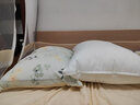希爾頓好睡枕pro 抗菌成人頸椎護頸家用纖維枕頭芯 48*74cm 中枕 曬單實(shí)拍圖