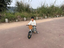 鳳凰兒童自行車(chē)小女男孩山地單車(chē)3-6-8-10-12-15歲中大童超輕帶輔助輪 *推薦【高配-輻條輪】鈦金銀+大禮包 14寸【帶輔助輪+腳撐】 曬單實(shí)拍圖