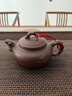 藏壺天下紫砂壺宜興原礦紫泥全手工貼花330cc大容量泡茶壺具家用 迎春 330ml 曬單實(shí)拍圖