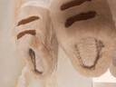 名創(chuàng  )優(yōu)品（MINISO）萌趣熊爪棉拖鞋宿舍可愛(ài)高顏值外穿居家用室內棉拖鞋 卡其 42-43 曬單實(shí)拍圖