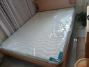 林氏家居床墊椰棕床墊山棕櫚硬床墊可拆洗棕墊宿舍租房單人床墊1.5x2.0米 曬單實(shí)拍圖
