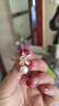 Qlady貓眼石花朵耳環(huán)女氣質(zhì)高級感仿珍珠耳釘女2026新年耳飾生日禮物 曬單實(shí)拍圖